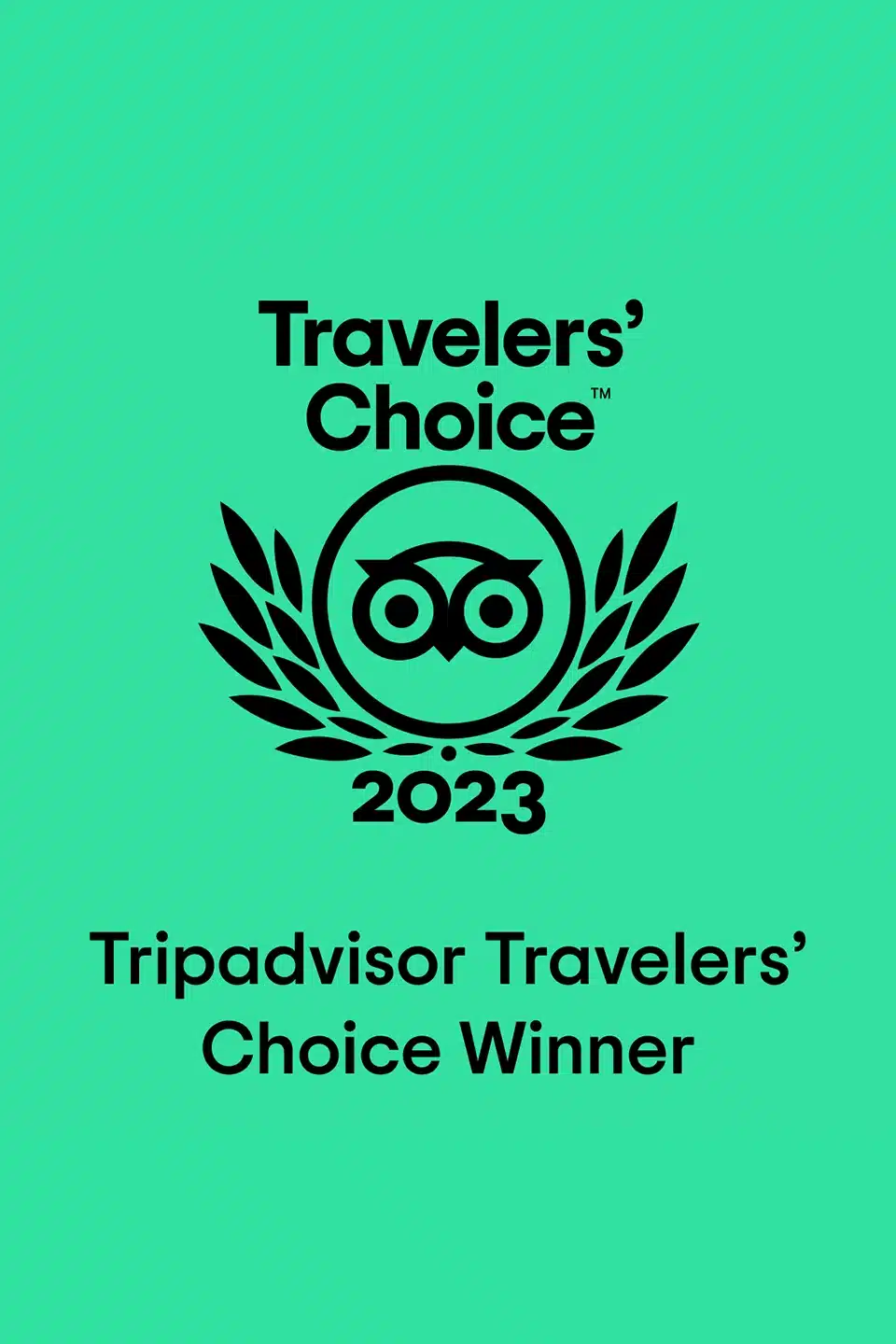 The King Alfred inn Burrowbridge Recognized as Tripadvisor® 2023 Travelers’ Choice® Award Winner